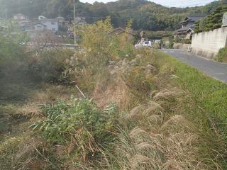 草刈り