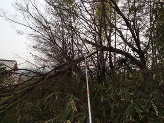 高枝切のこぎり