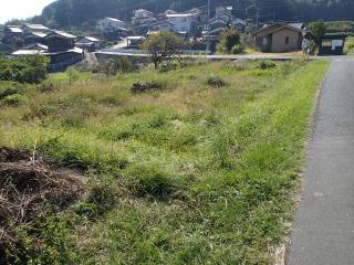 継続して草刈り