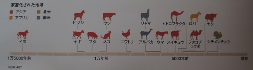ペット化家畜化の年代