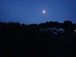 天体写真