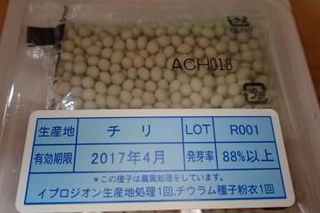 ニンジンのペレット種子