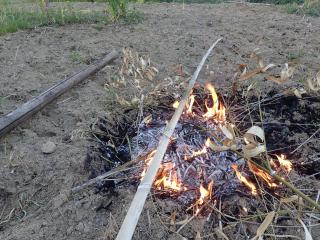 竹をあぶって曲げる