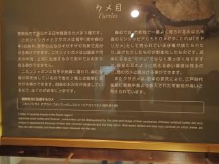 上野動物園