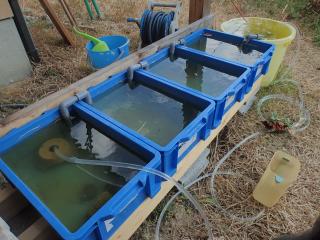 水槽の接続方法