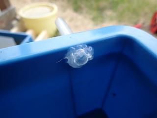 水槽にホットメルト