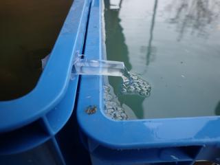 水の循環
