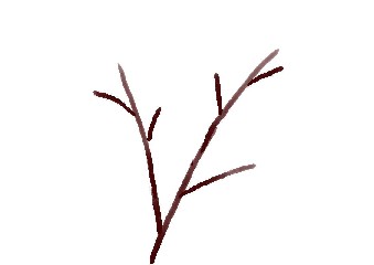柿のすかし剪定