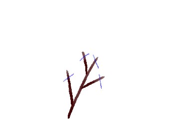 柿の切り戻し剪定