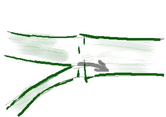 竹がうまく割れない原理