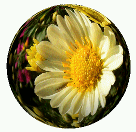 Pro/E�e�N�X�`���[